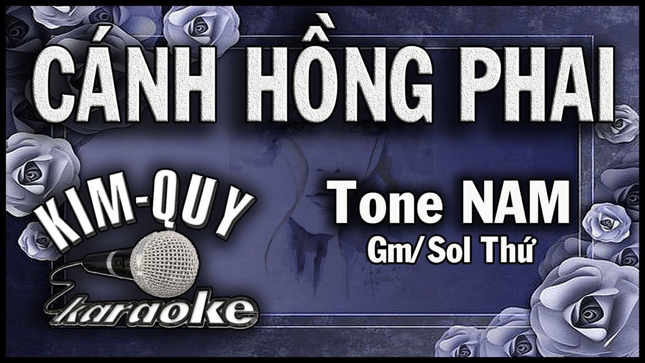 CÁNH HỒNG PHAI - KARAOKE - Tone NAM  ( Gm/Sol Thứ )