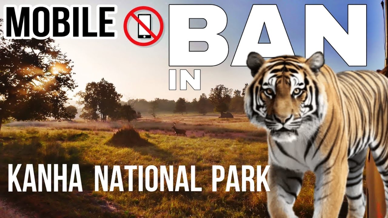 TIGER SAFARI In KANHA Is INSANE:-You Won't Belive What We SAW?🐯