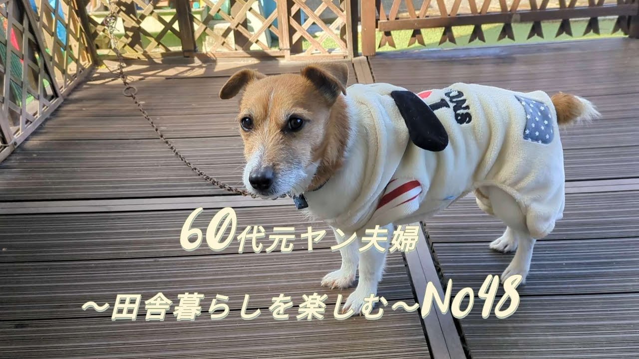 60代元ヤン夫婦〜田舎暮らしを楽しむ〜No48