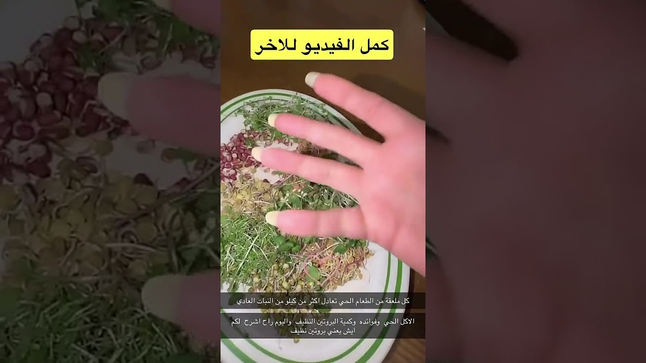 طريقة عمل الخلايا الجذعية النباتية لفوائد الجسد والعقل والروح ؟✨#شمس_الكويتيه #اكسبلور