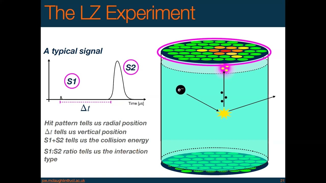McLaughlin. Status and Results LUX-ZEPLIN Experiment.