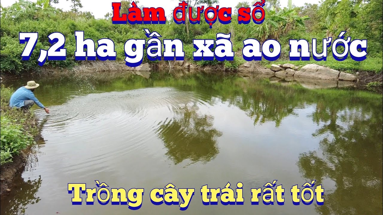 Cần nhượng 7,2 ha đất đen vườn điều ruộng lúa ao nước ôm suối cách trung tâm 5 km.