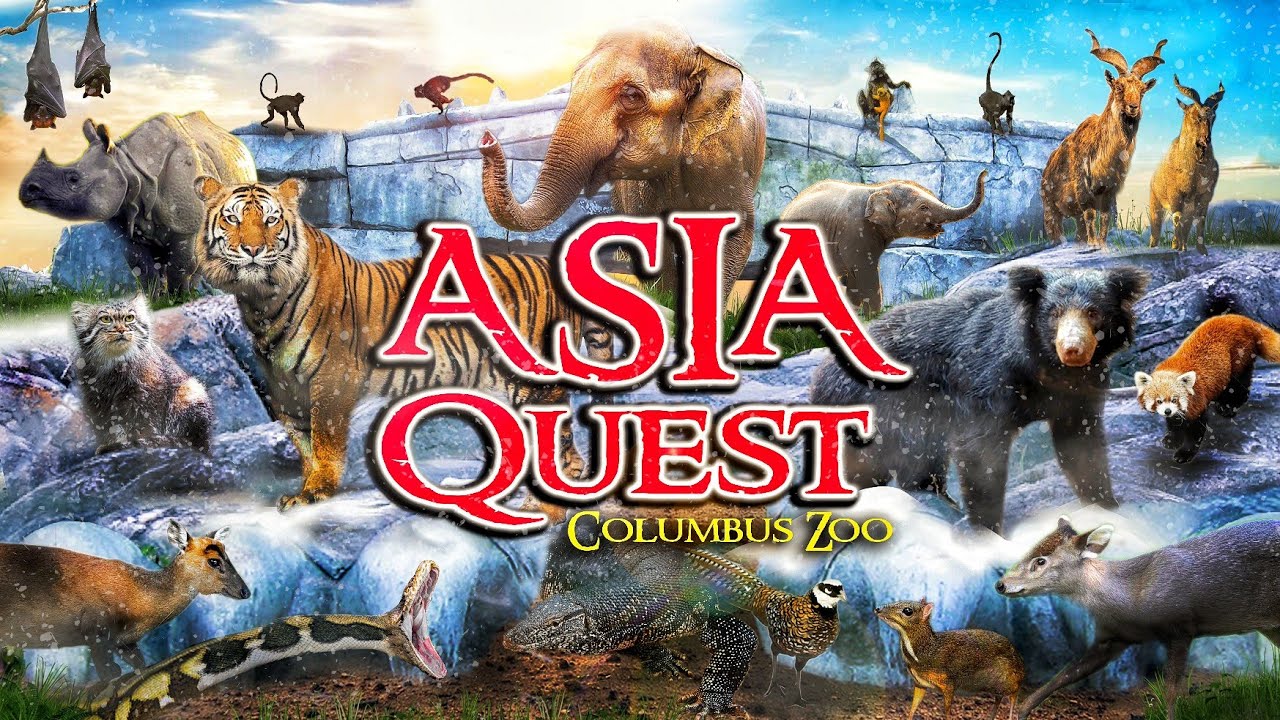 Экскурсии по зоопаркам: Asia Quest | Зоопарк и аквариум Колумбуса
