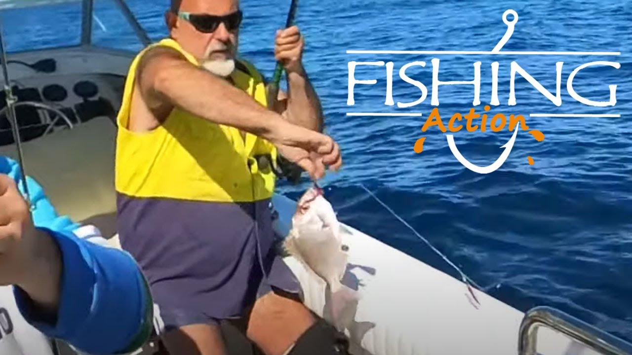 Snapper fishing | Port Hacking Sydney | Fishing Action