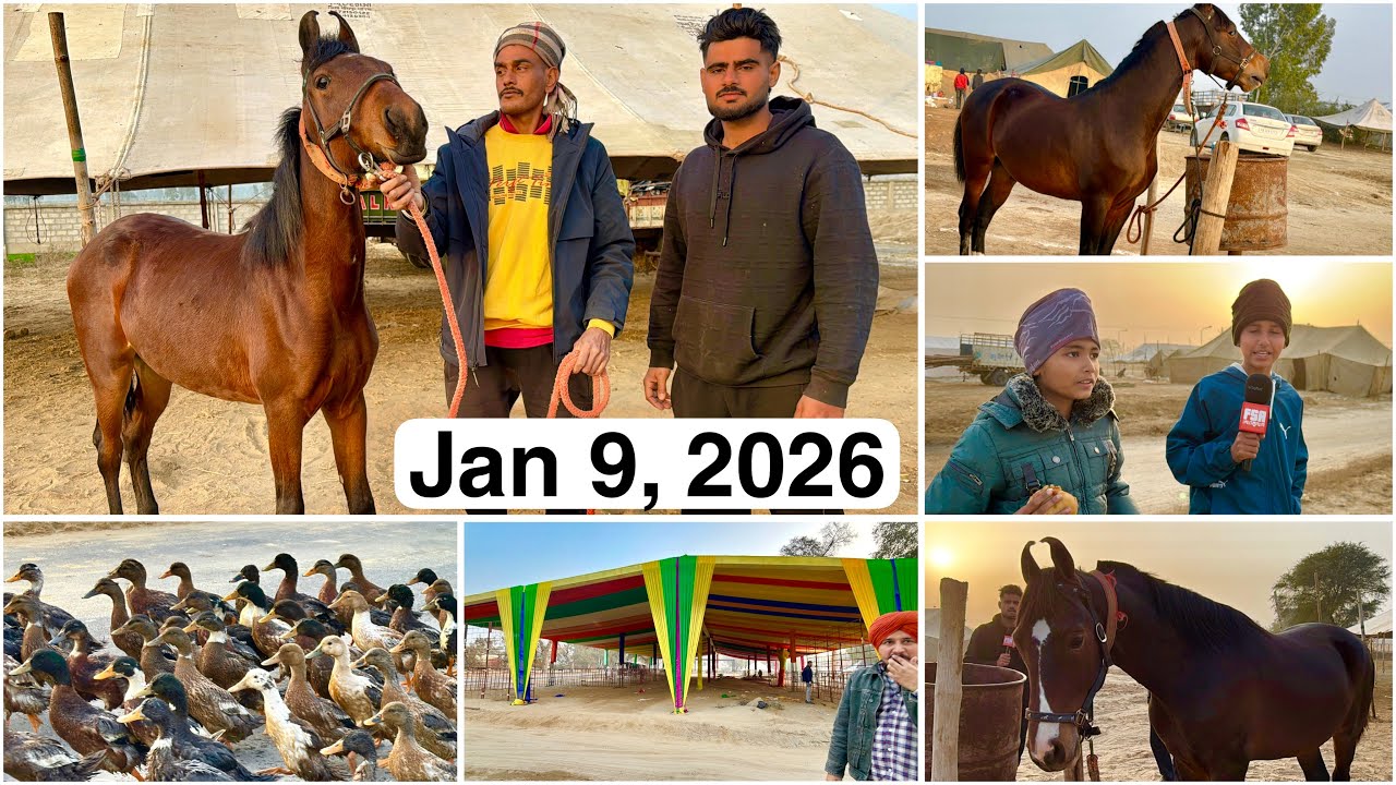 Muktsar Mela 2026  | Jan 9 Horse Fair | Ghoda Mandi Vlog