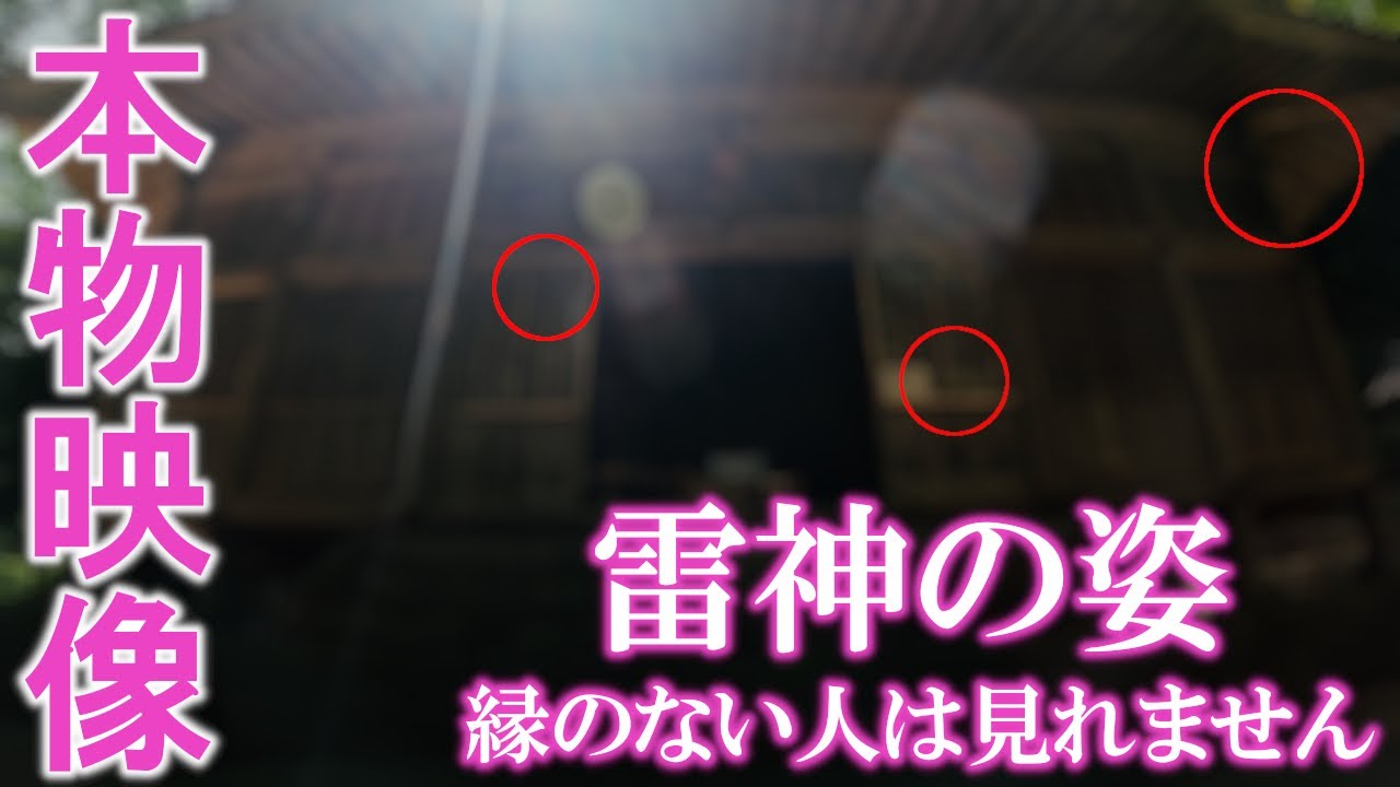 ⚠️神回※もし逃したら二度とありません※雷神様とたくさんの精霊が見れた人超強運。願いが叶います｜雷神社遠隔参拝312