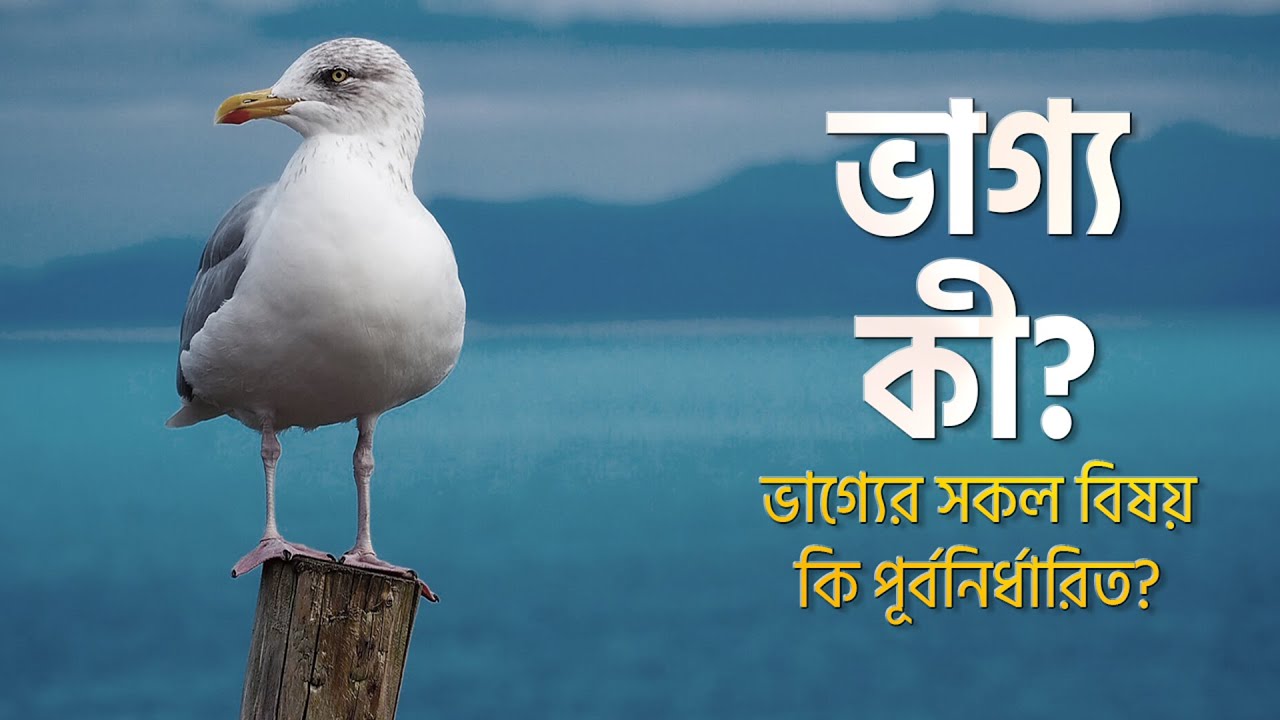 ভাগ্য কি? যদি রিযিক আগেই লিখিত হয়, তবে কাজ করে উপার্জন করার কি প্রয়োজন? - ড. মোহাম্মাদ মানজুরে ইলাহী