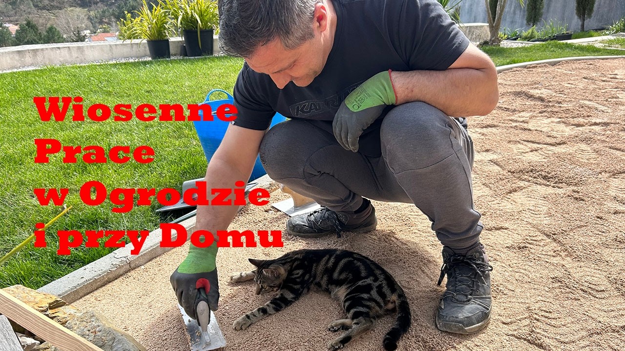 Wiosna w Portugalii – zaczynamy prace w ogrodzie i przy domu! 🌸🏡