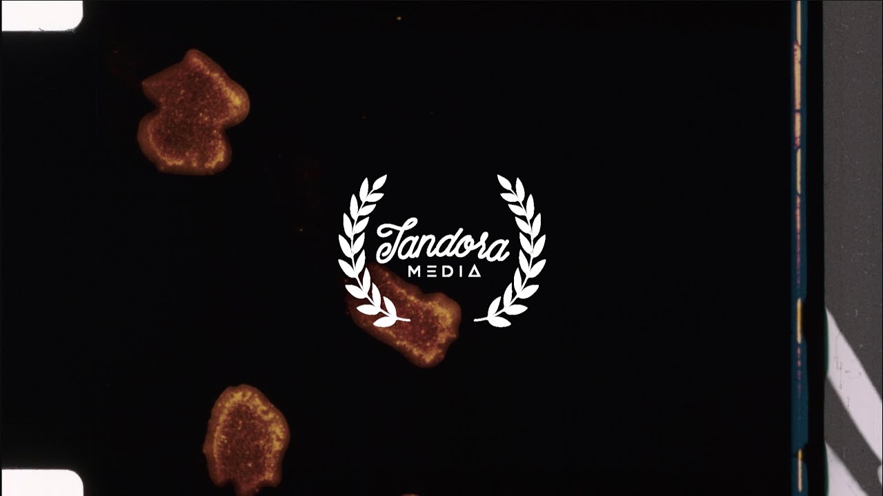 NICHOLAS JANDORA | DIRECTOR'S REEL 2019
