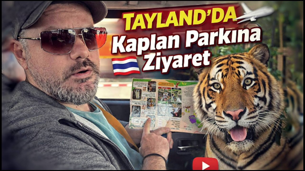 PATTAYA KAPLAN PARKI | TIGER PARK