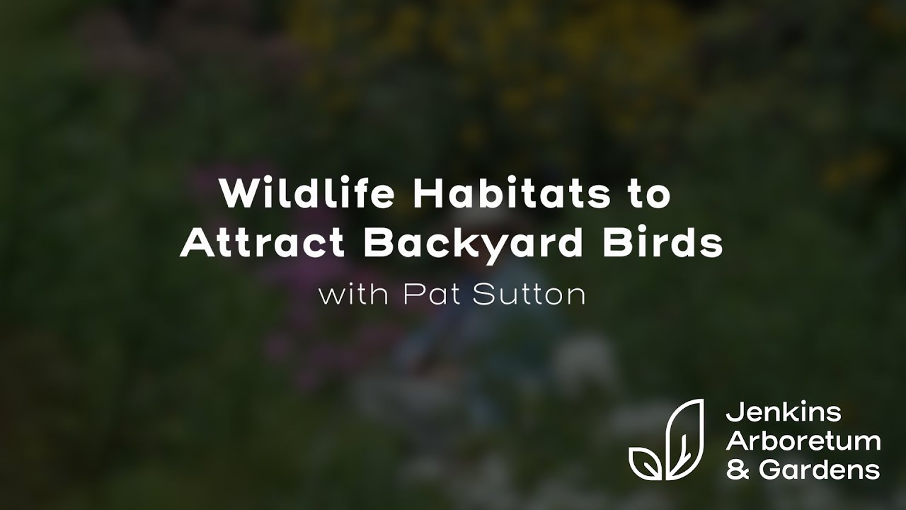 Wildlife Habitats to Attract Backyard Birds with Pat Sutton