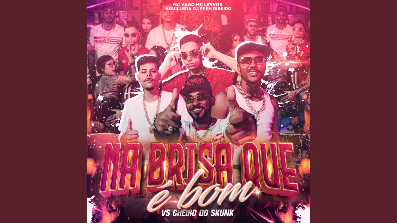 Na Brisa Que É Bom Vs Cheiro do Skunk