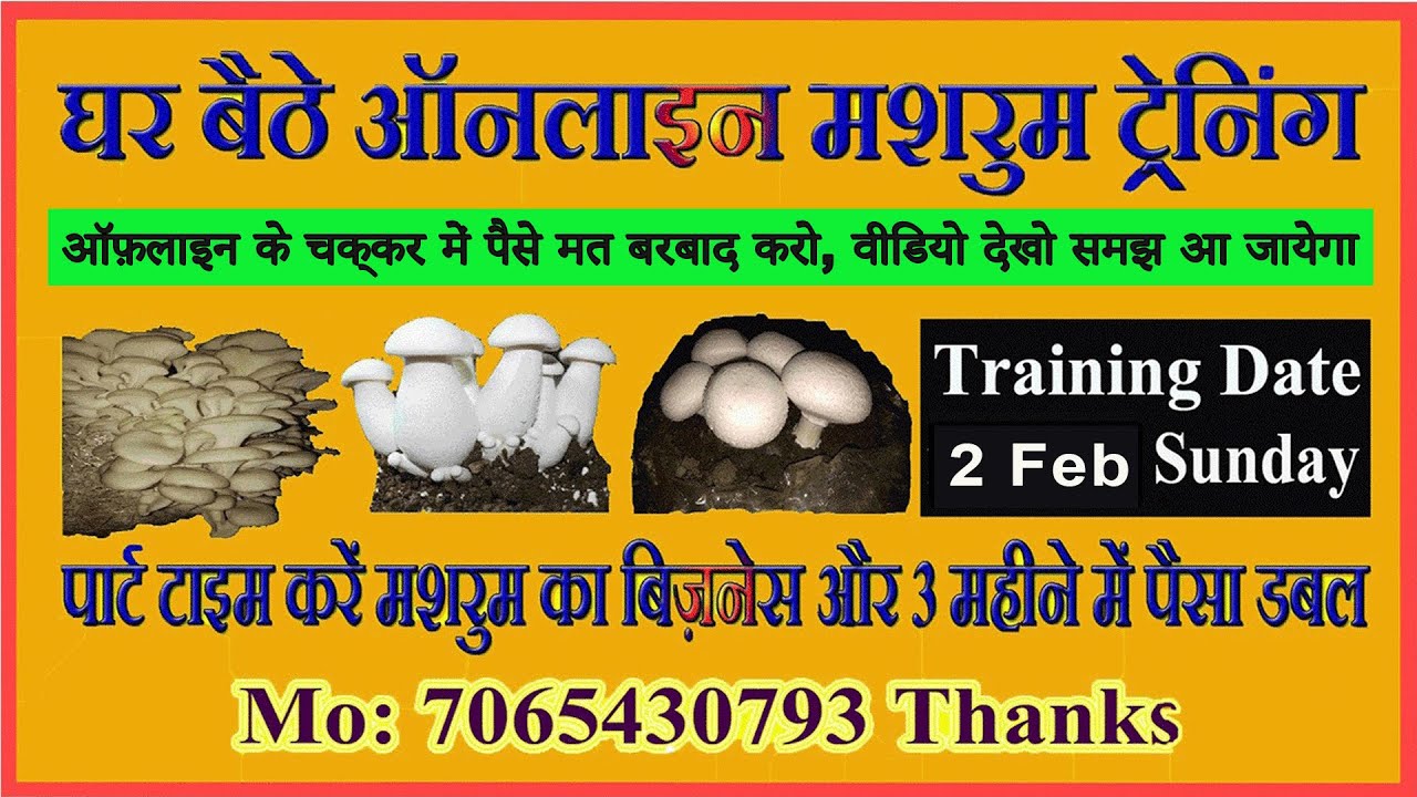 Mushroom Cultivation Training on Oyster, Milky and Button Mushroom #buttonmushroom #button #farming