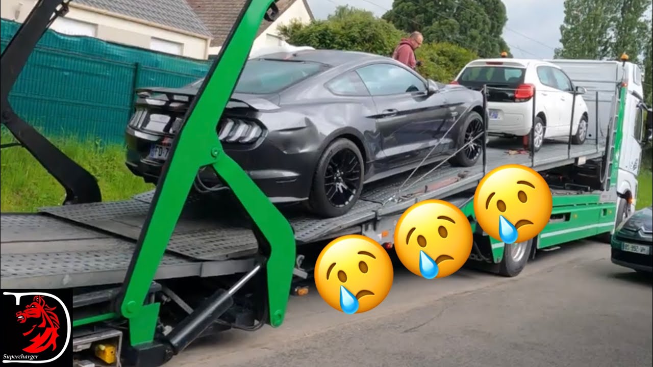 Fin de la mustang 😔