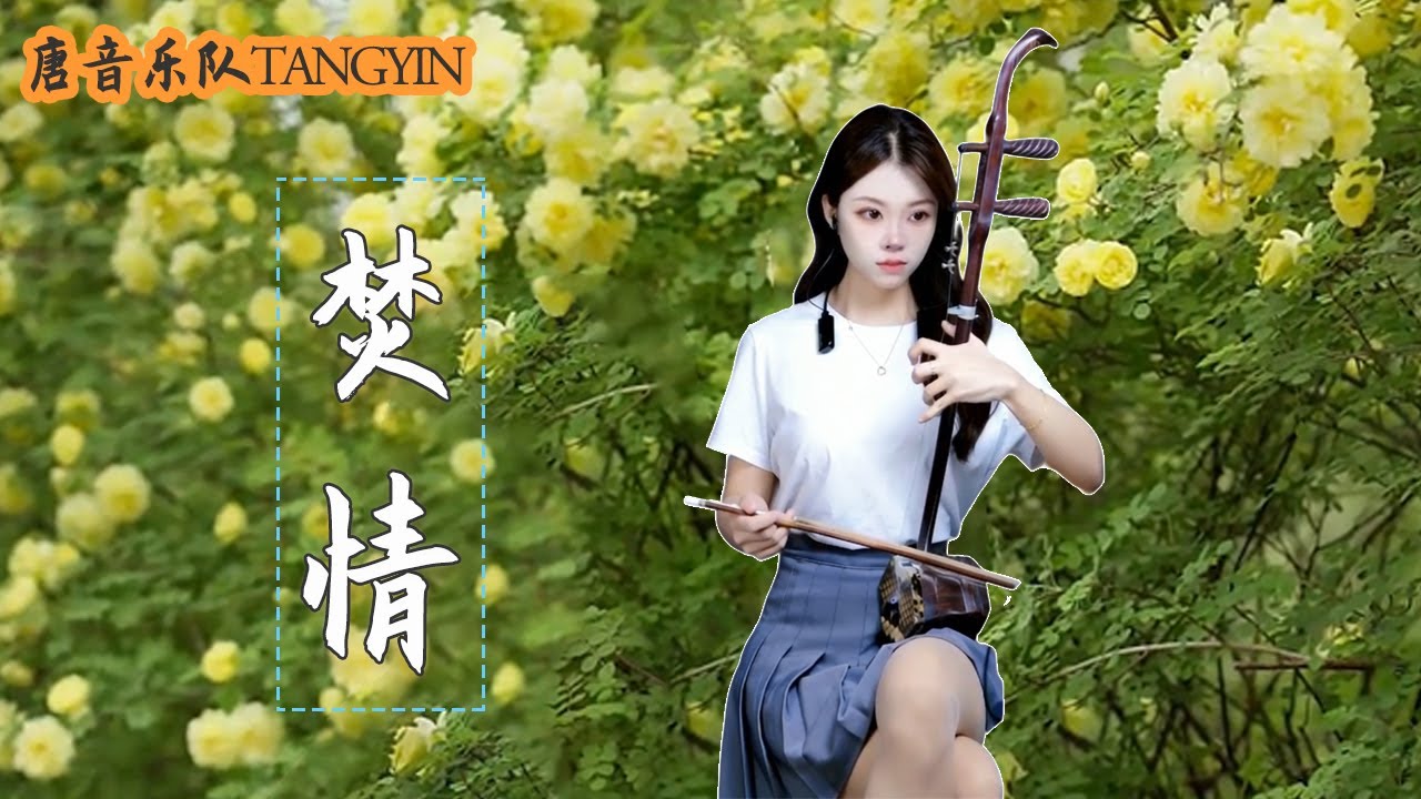 二胡Erhu【Fen Qing 焚情】黃凱芹 Cover by Peiyao | 二胡Erhu竹笛Dizi古箏Guzheng Tangyin Chinese Music【唐音樂隊】