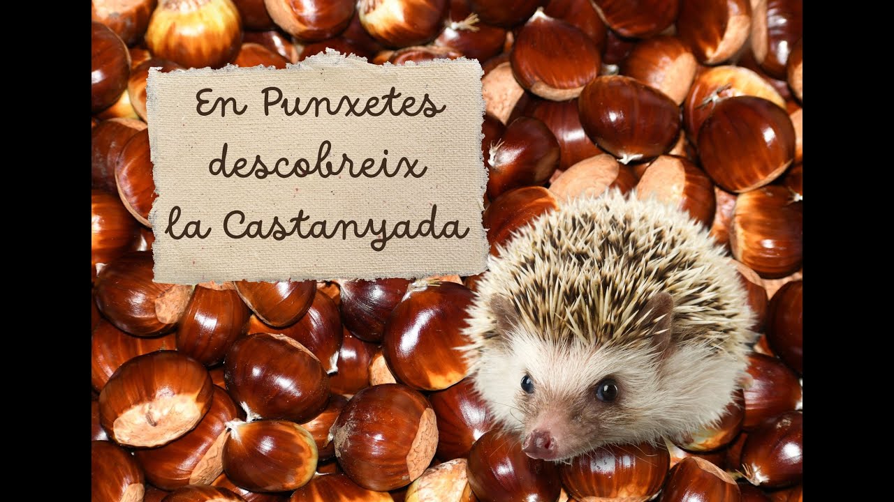 PUNXETES I LA CASTANYADA