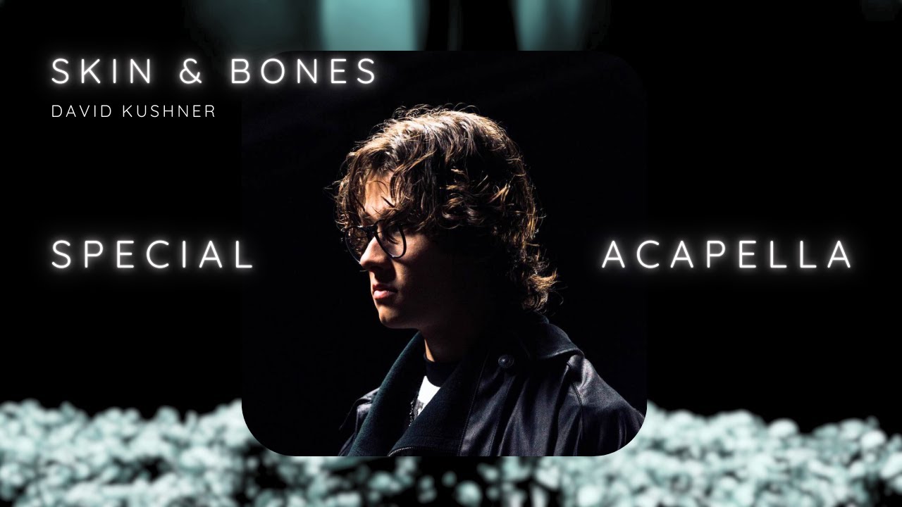 David Kushner - Skin and Bones (Special Acapella)
