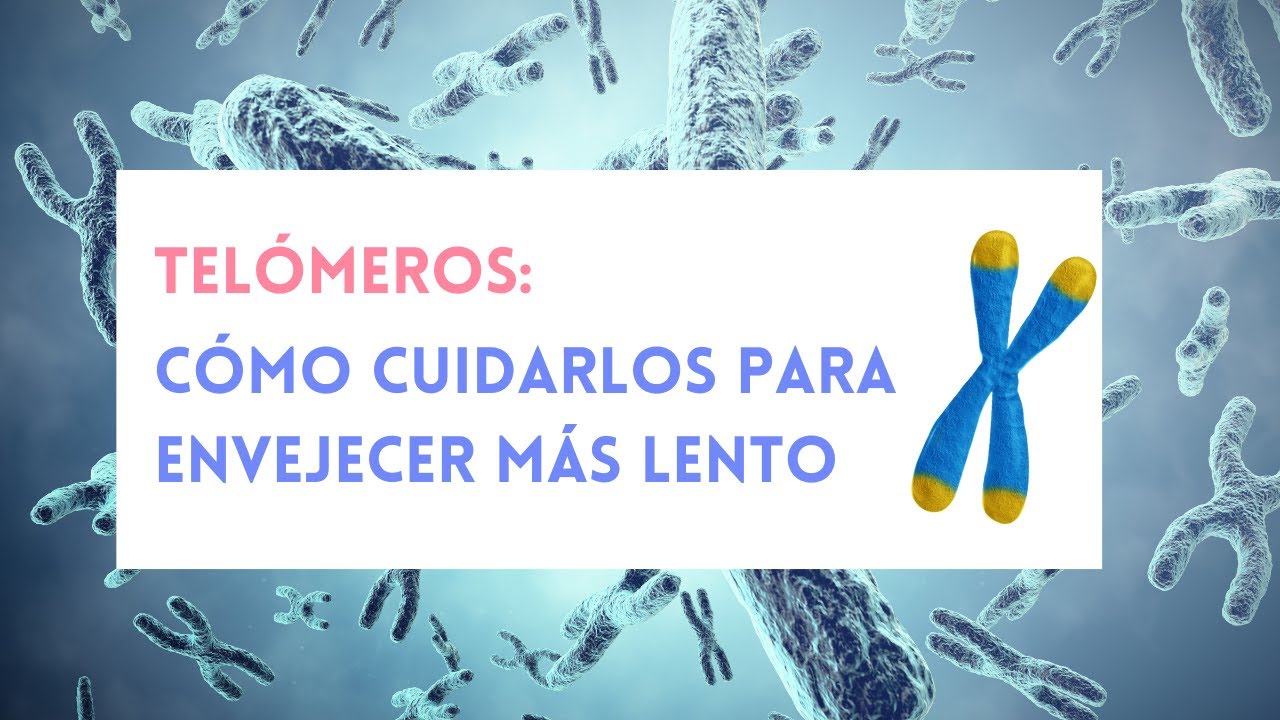 Telómeros: El Secreto para Envejecer Más Lento y Vivir Más Tiempo