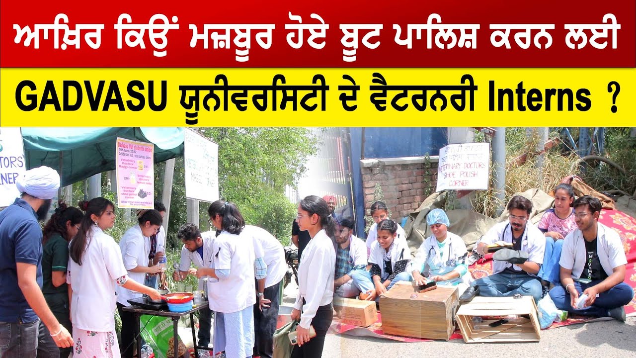 ਆਖ਼ਿਰ ਕਿਉਂ ਮਜ਼ਬੂਰ ਹੋਏ ਬੂਟ ਪਾਲਿਸ਼ ਕਰਨ ਲਈ GADVASU ਯੂਨੀਵਰਸਿਟੀ ਦੇ ਵੈਟਰਨਰੀ Interns ?
