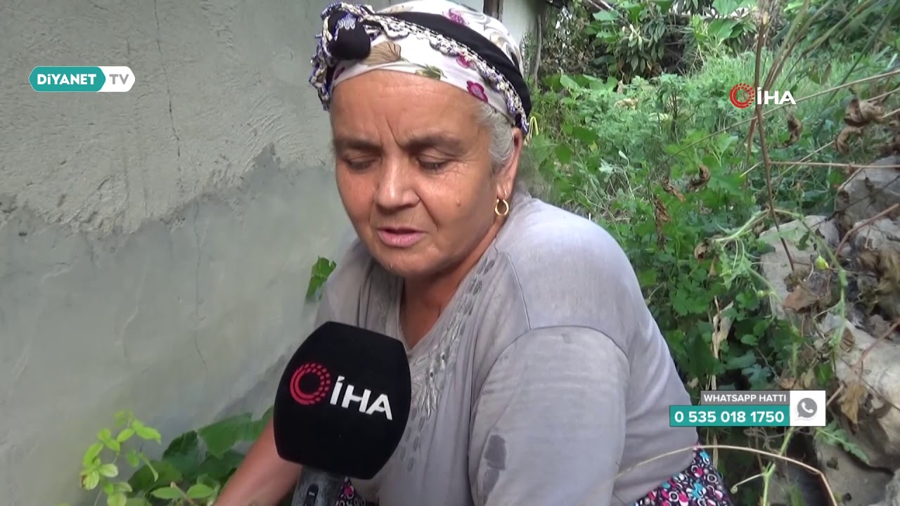 70 Kiloluk Dev Balkabağı