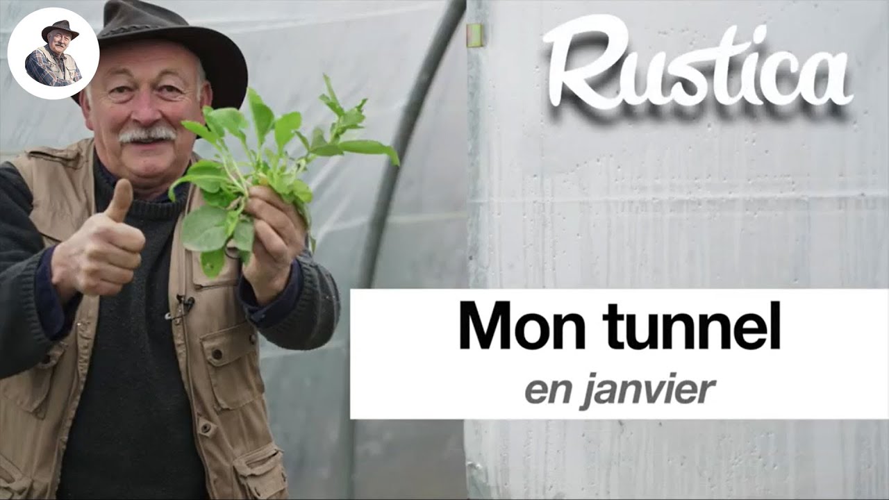 Mon tunnel en janvier