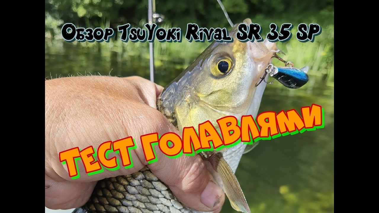 Воблер - минноу на Голавля! Обзор TsuYoki Rival SR 35 SP