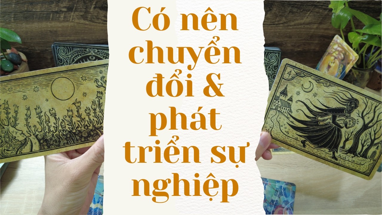 Có nên chuyển đổi & phát triển sự nghiệp khác | nói hơi thô nhen :(  -  Tarot bánh quy
