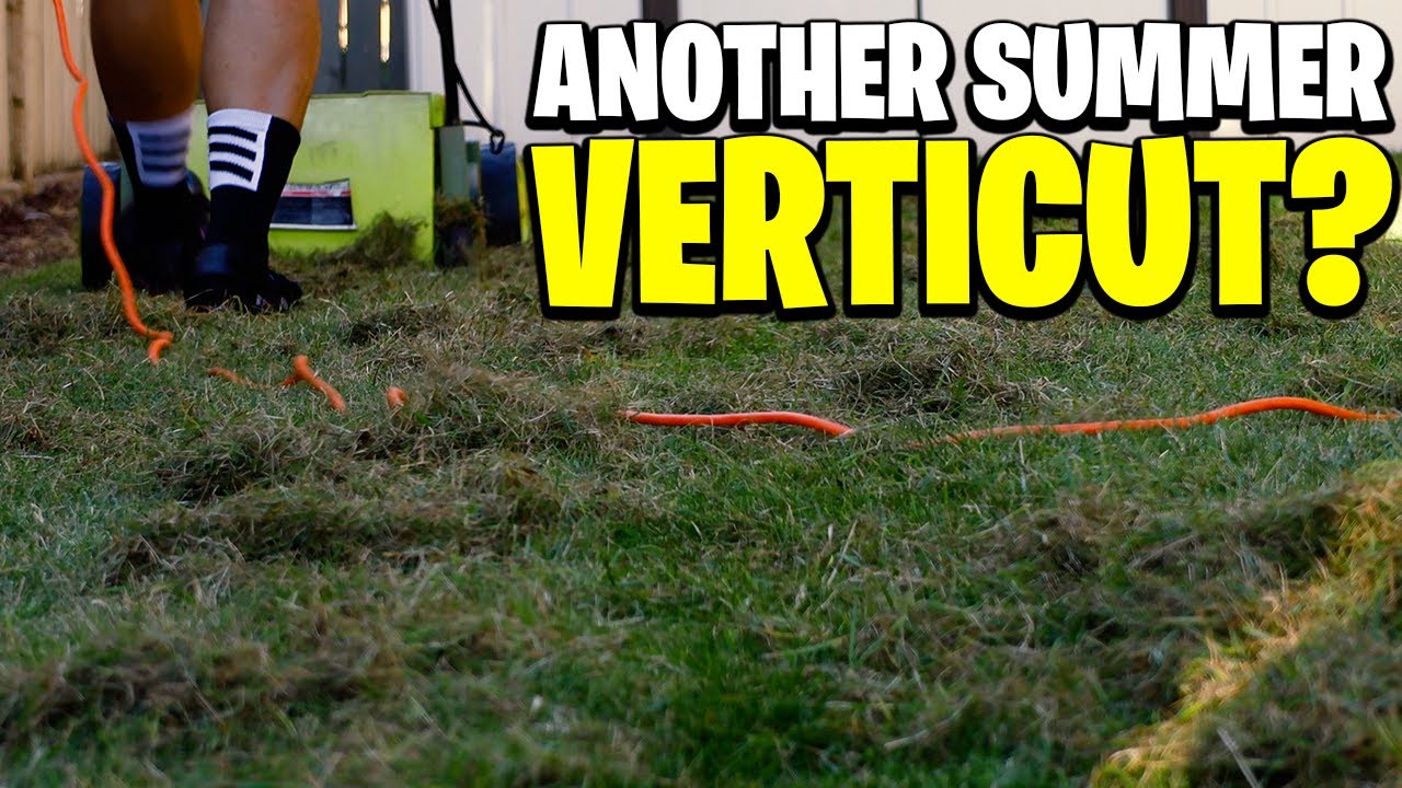 Another summer VERTICUT with the sunjoe dethatcher! Get all that nasty out ya lawn! 😊🤙🏾
