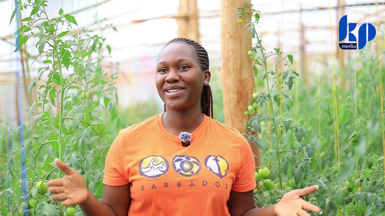Yakuze arota kuba Umuganga, Ubu ni Umuhinzi w’Umwuga//#Greenhouse ni Ubuzima-BISENGE MICO Mariette.