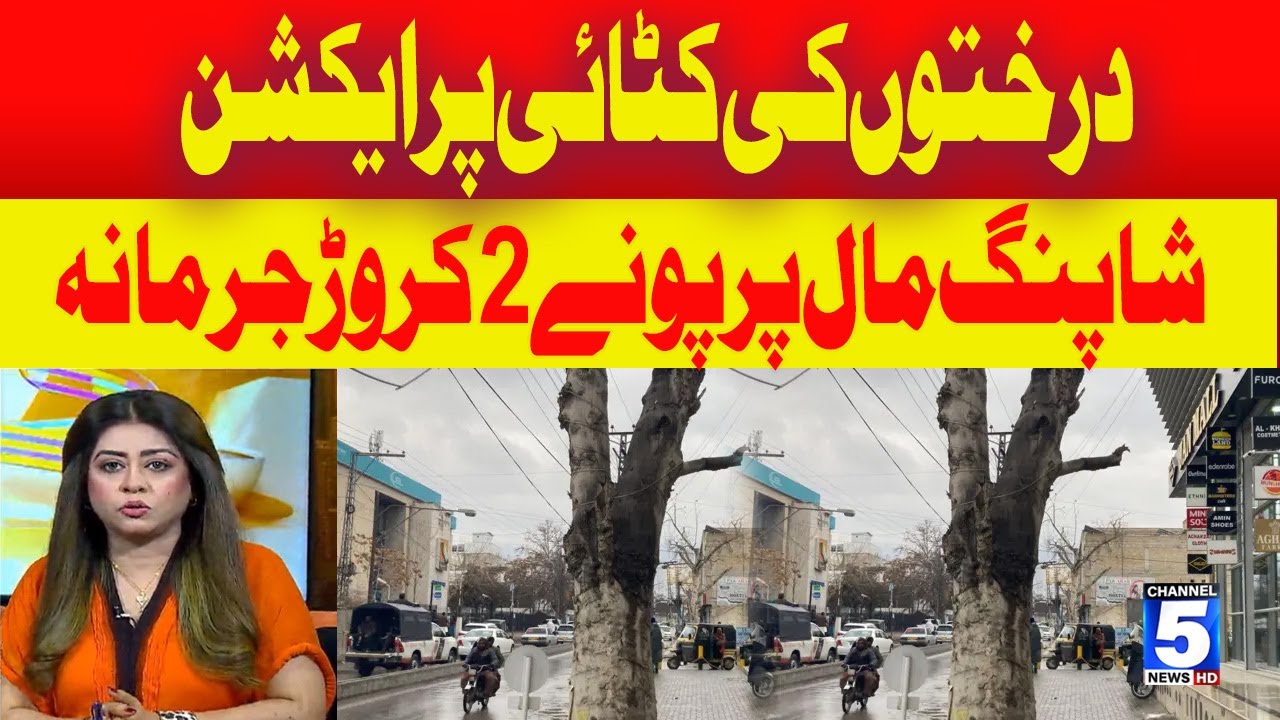 Action on Felling of Trees I 5 News Hd