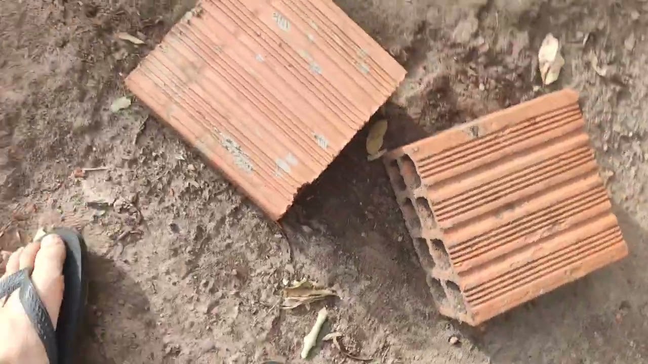 Caçando minhoca na casa do pedro (mas a gente não pegou minhoca foi outra coisa)