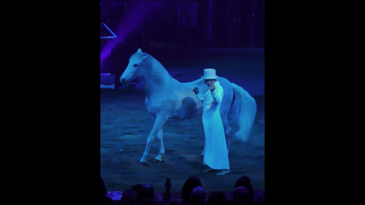 ALEX GIONA -  Clowns d'Argent/Silver Clown - 45&ordm; Festival du Cirque de Monte-Carlo 2023