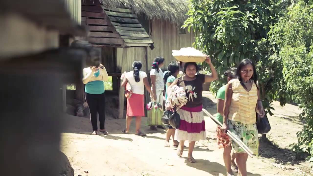 Video Documental Purus Manu