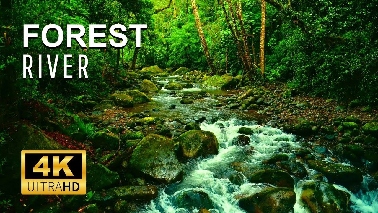 RIVER. FLOW. | 3 Hours Forest River Ambience for Focus & Background Noise Blocking