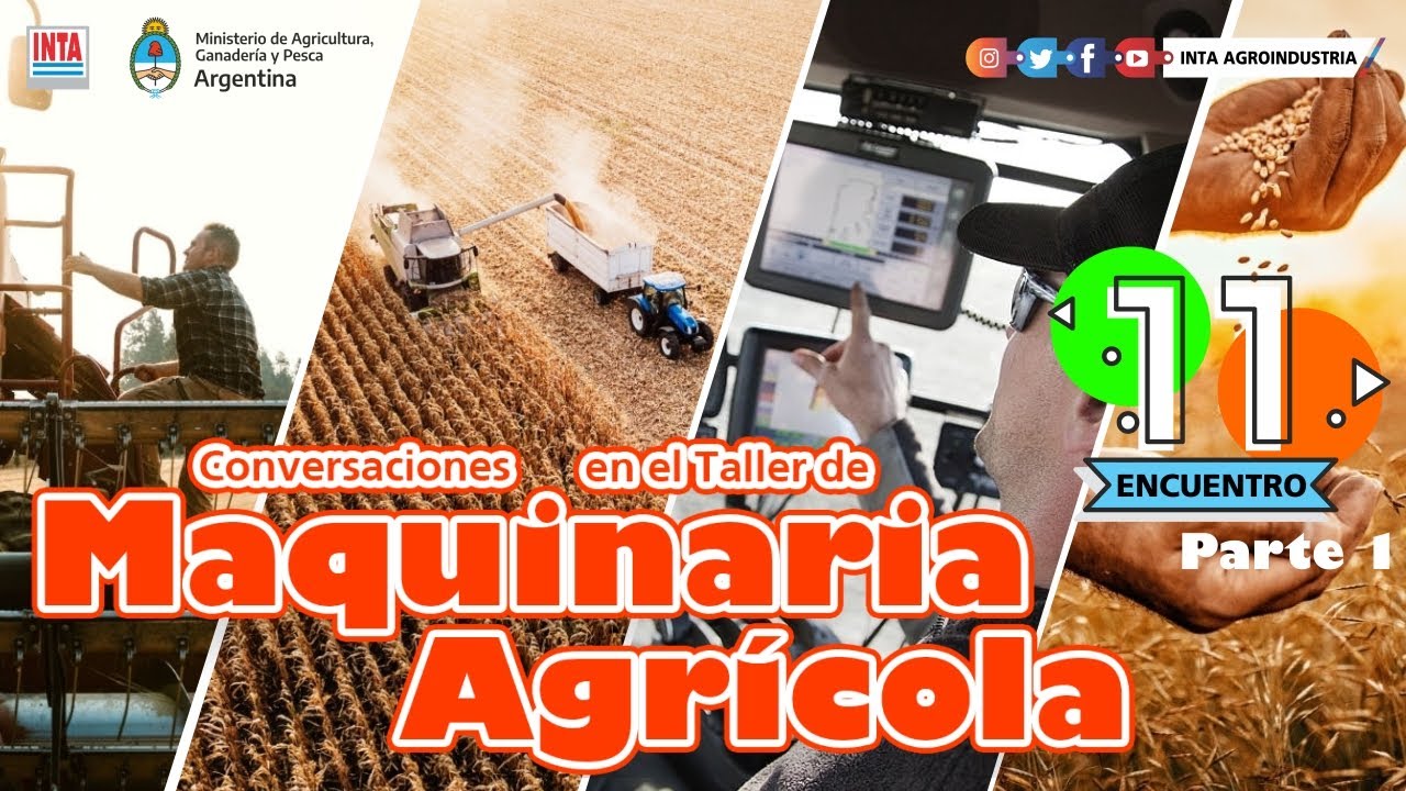 ¿Cómo debemos planificar una correcta siembra de alfalfa?