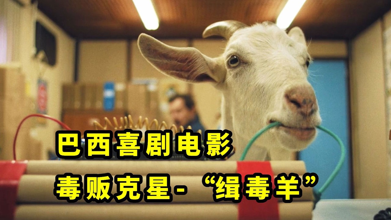 一口氣看完九部超離譜喜劇電影！記者編造假新聞，意外泄露了軍方機密，看完不笑你打我