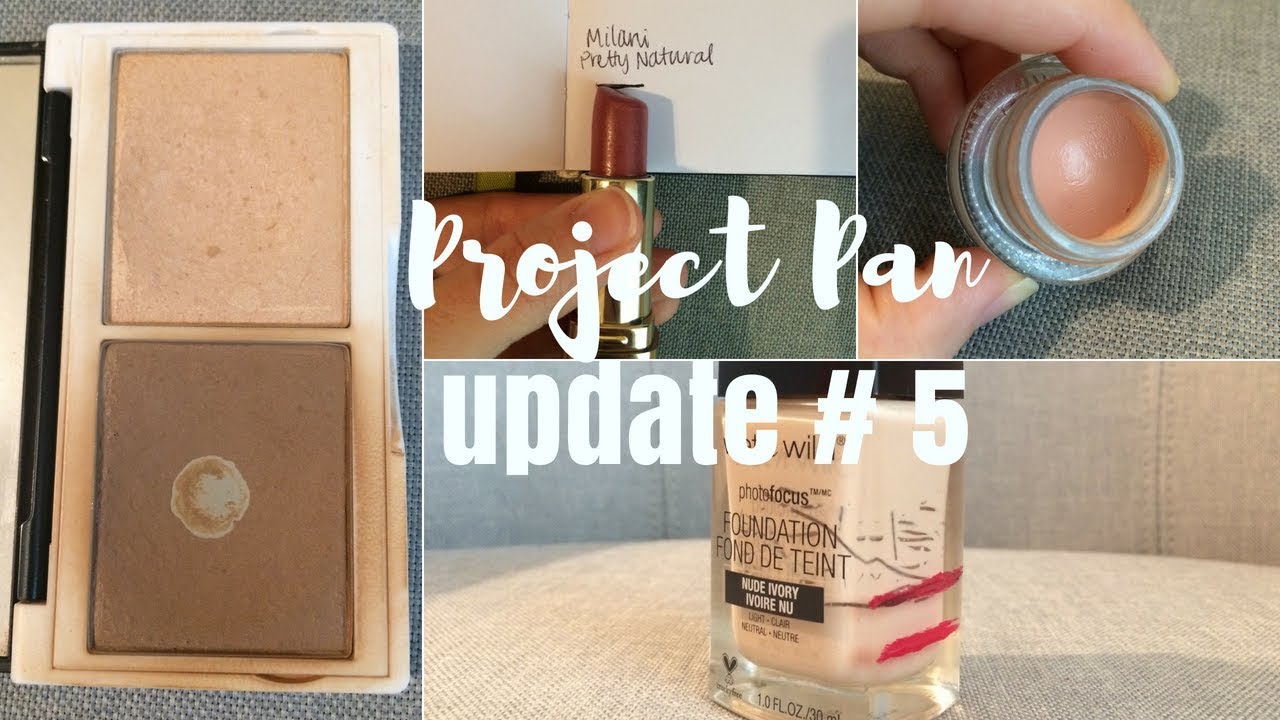 PROJECT PAN UPDATE #5 | Lots of Progress / Mid-Year Recap!
