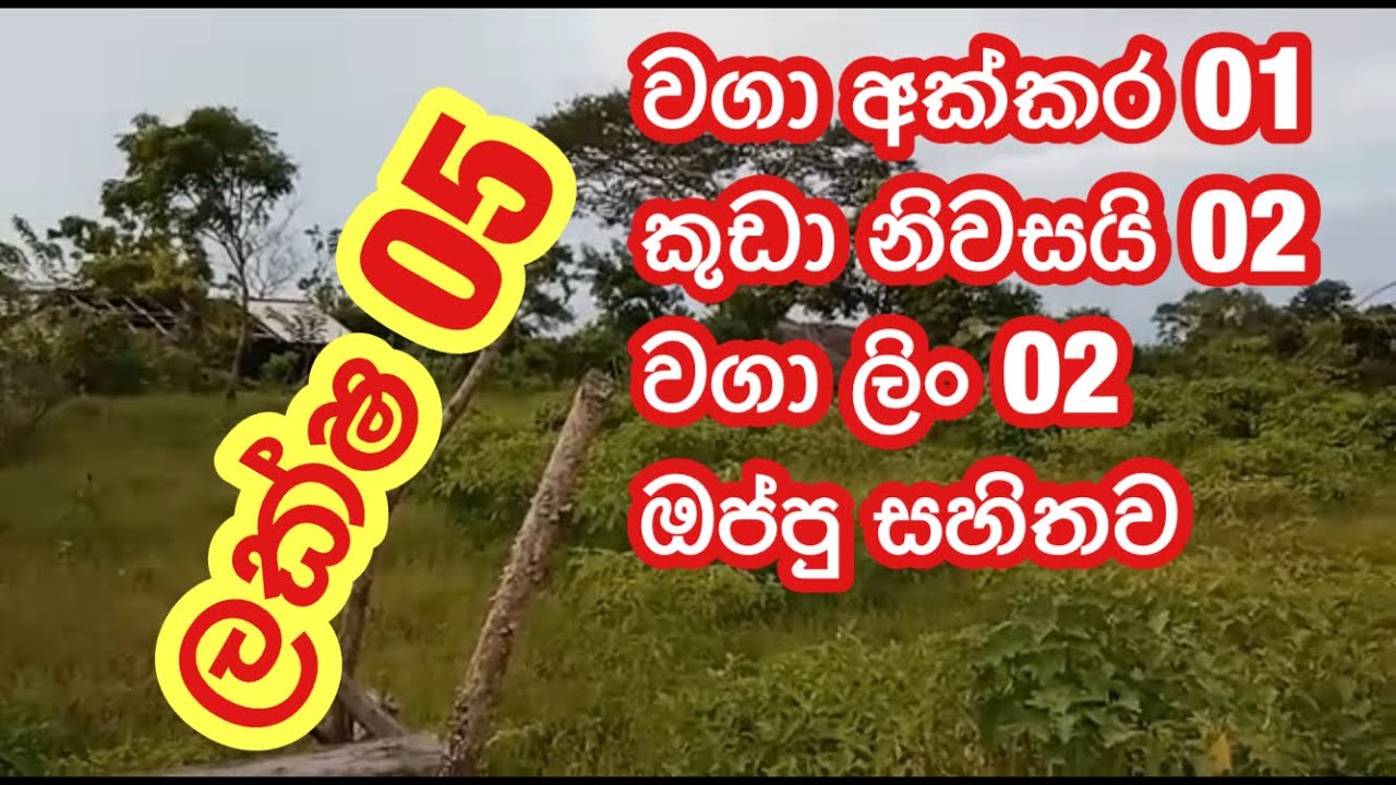 වගා අක්කරයක් සමග නිවසක් ලක්ෂ 05 | kalu malli | aduwata idam