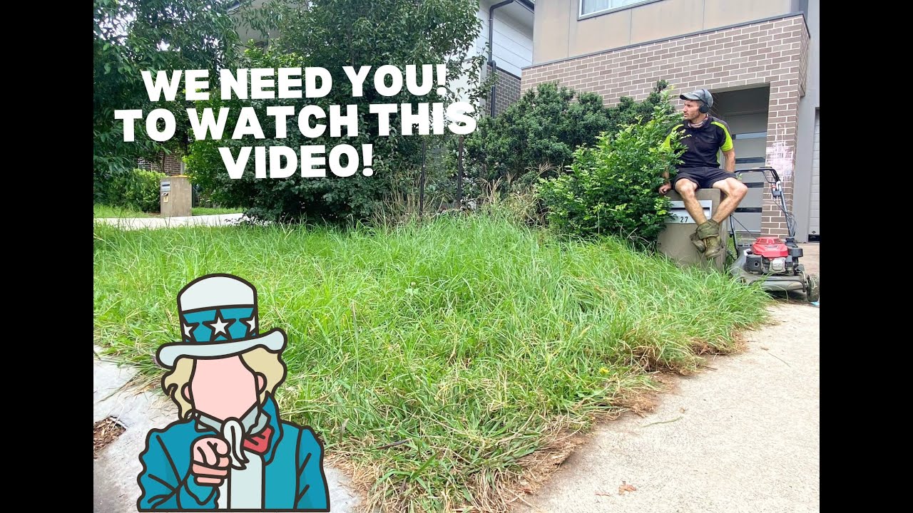 Your VIEWS Can Make This Garden CLEAN UP FREE & HELP a struggling Family!