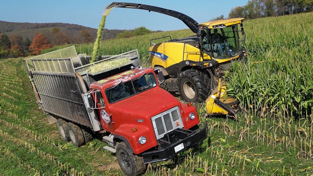Hillside Chopping with New Holland FR600 Forage Harvester