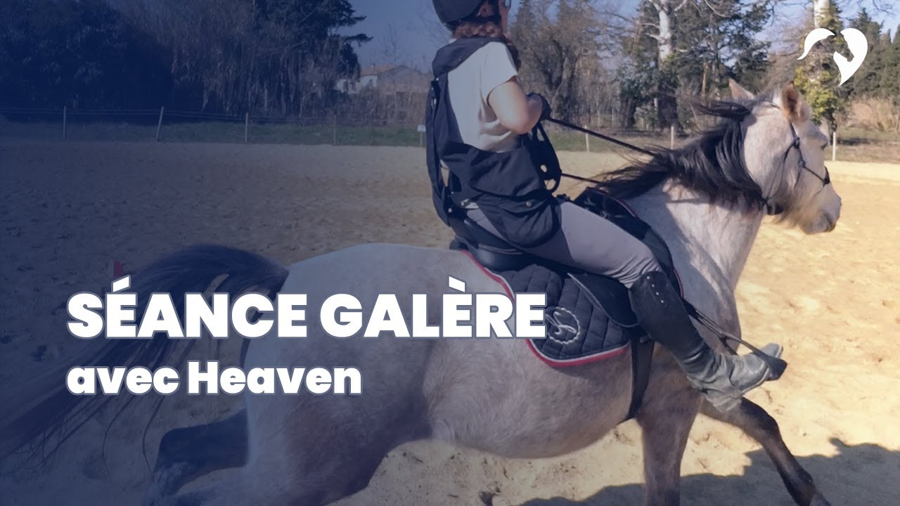VLOG - Je MONTE HEAVEN pour le tournoi Equifeel Partage (et ça ne se passe pas du tout comme prévu)
