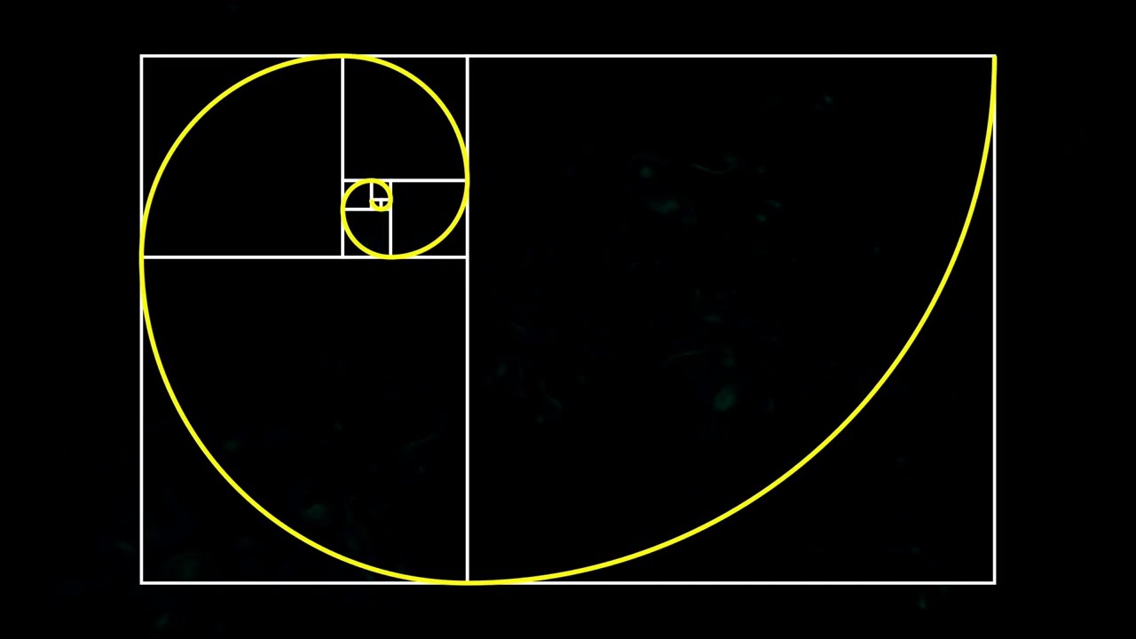 Fibonacci Numbers and Linear Algebra