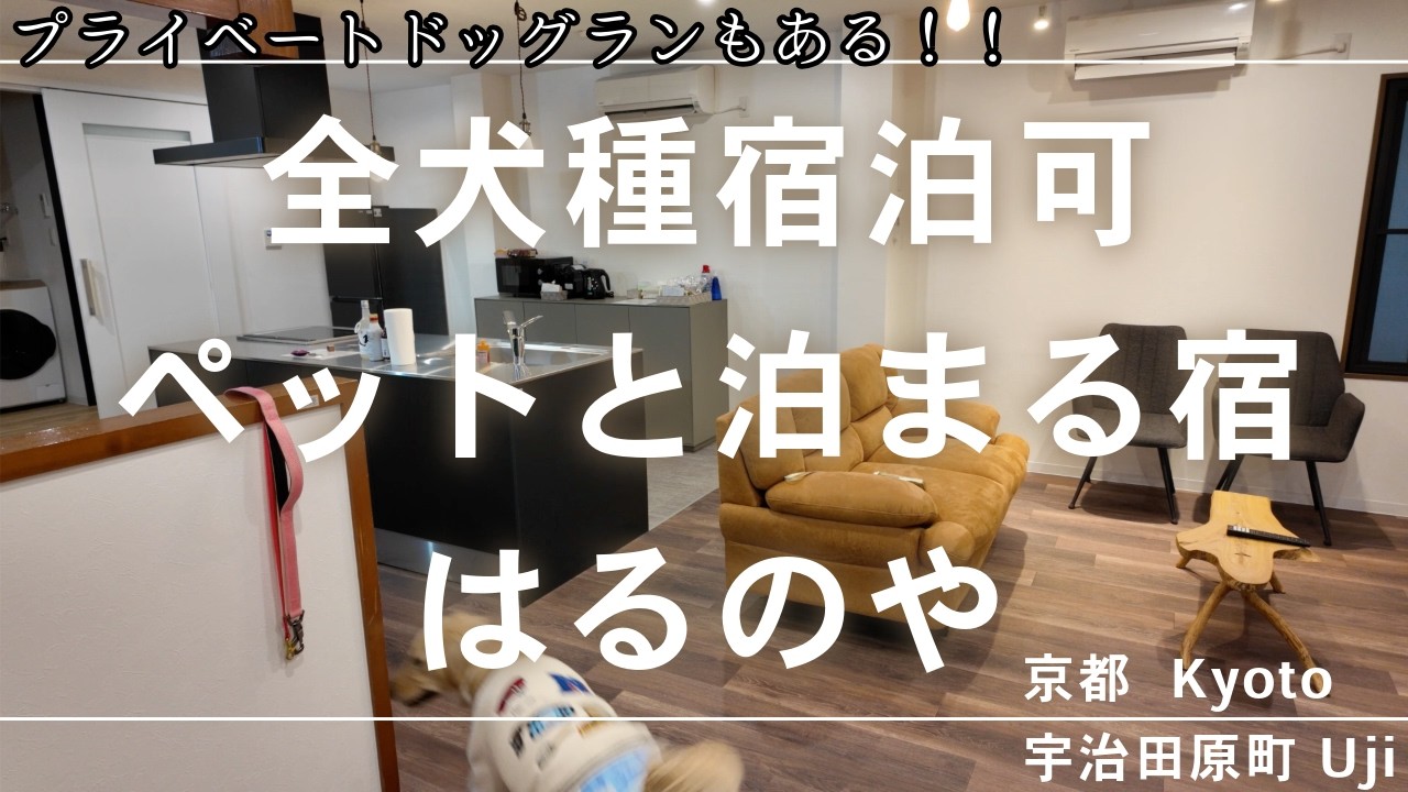 全犬種宿泊可能なお宿「ペットと泊まれる宿　はるのや」さんに泊まってみた♪  #はるのや #ペットと泊まれる宿  #大型犬宿泊可  #京都宿  #京都宇治