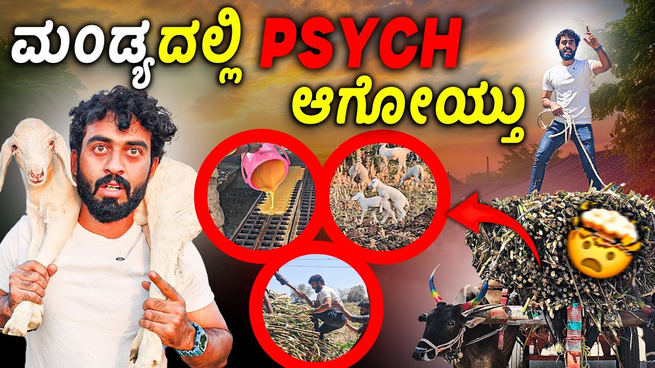 ಹಳ್ಳಿಯಲ್ಲಿ ಇದನೆಲ್ಲಾ ನೋಡಿ Shock ಆಯ್ತು🤯| ಮ೦ಡ್ಯದ ಜನ ನಿಜವಾಗ್ಲೂ ಸ್ವೀಟಾ?😍🥰 Village Challenge💚Joint Kannada