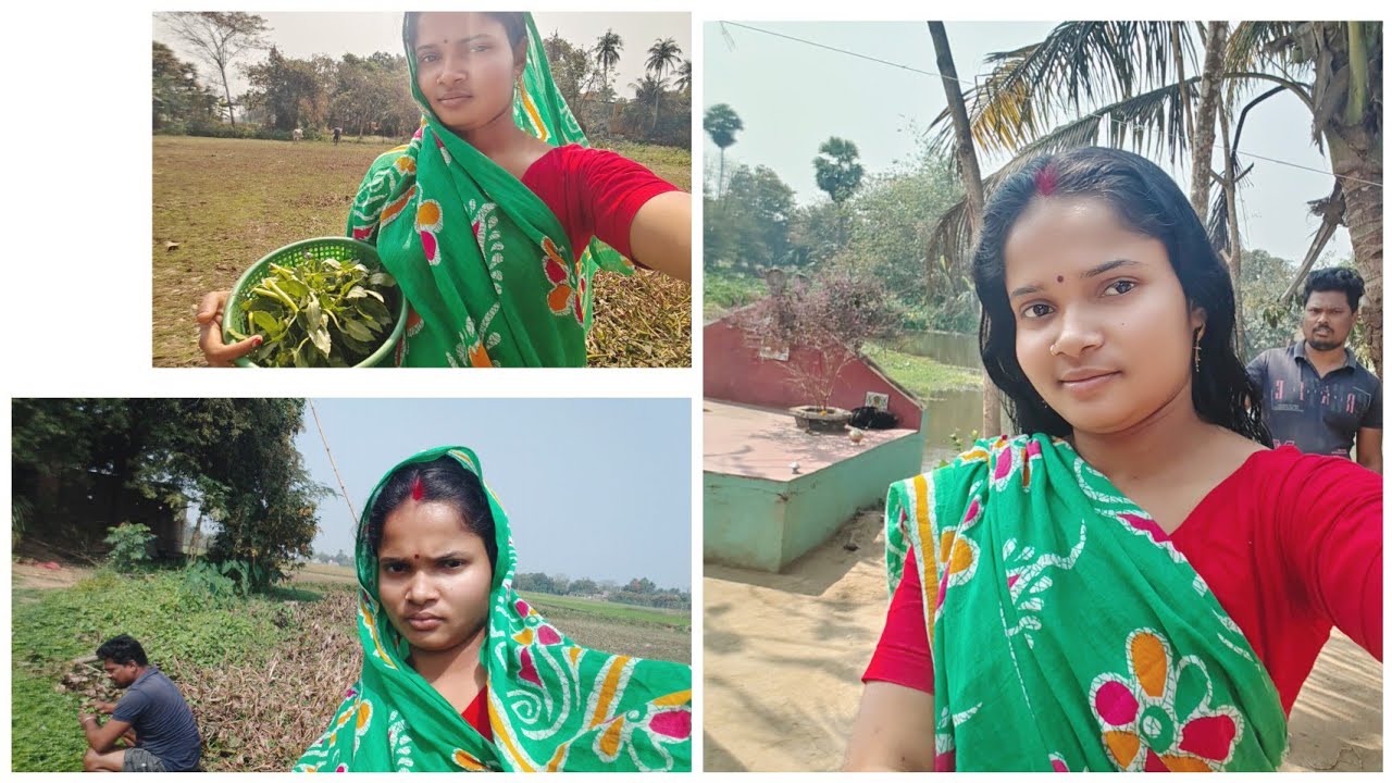 রান্না করে রেখে মাঠে গিয়েছিলাম শাক তুলতে। মুরগিগুলো বিড়ালের সব খেয়ে নিল।।