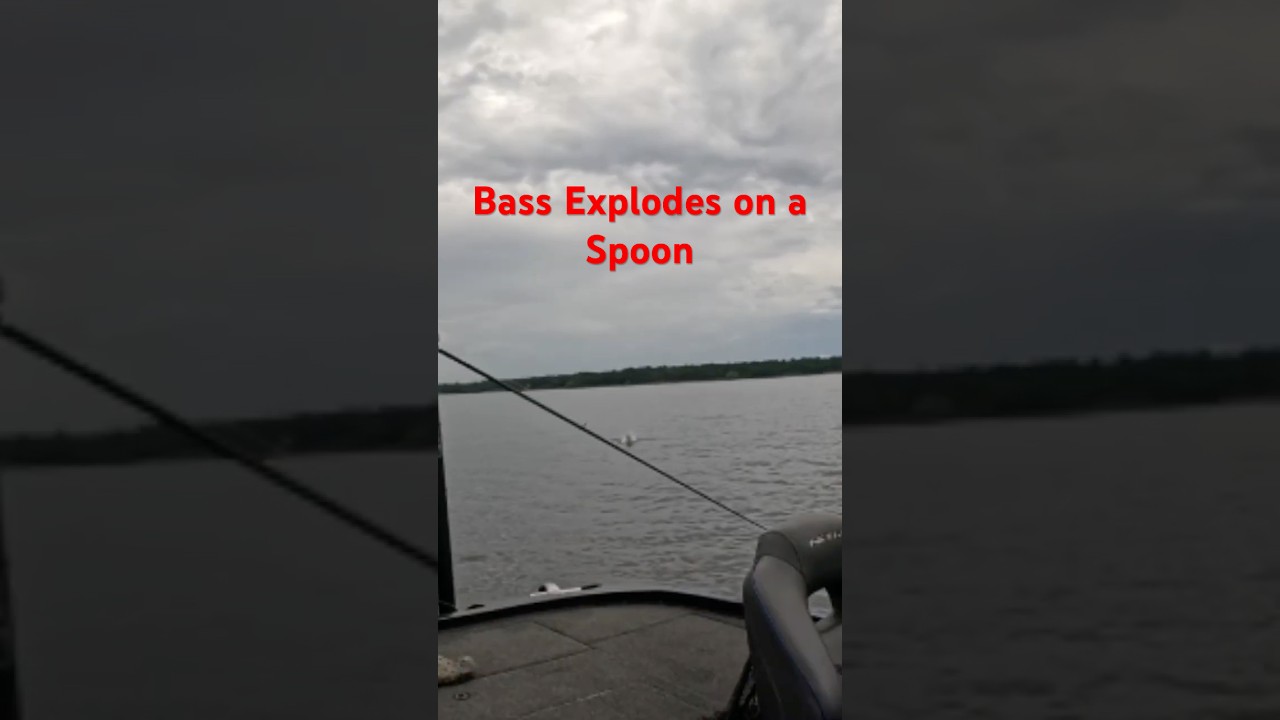 Deep Water Bass on Flutter Spoon] Sam Rayburn 