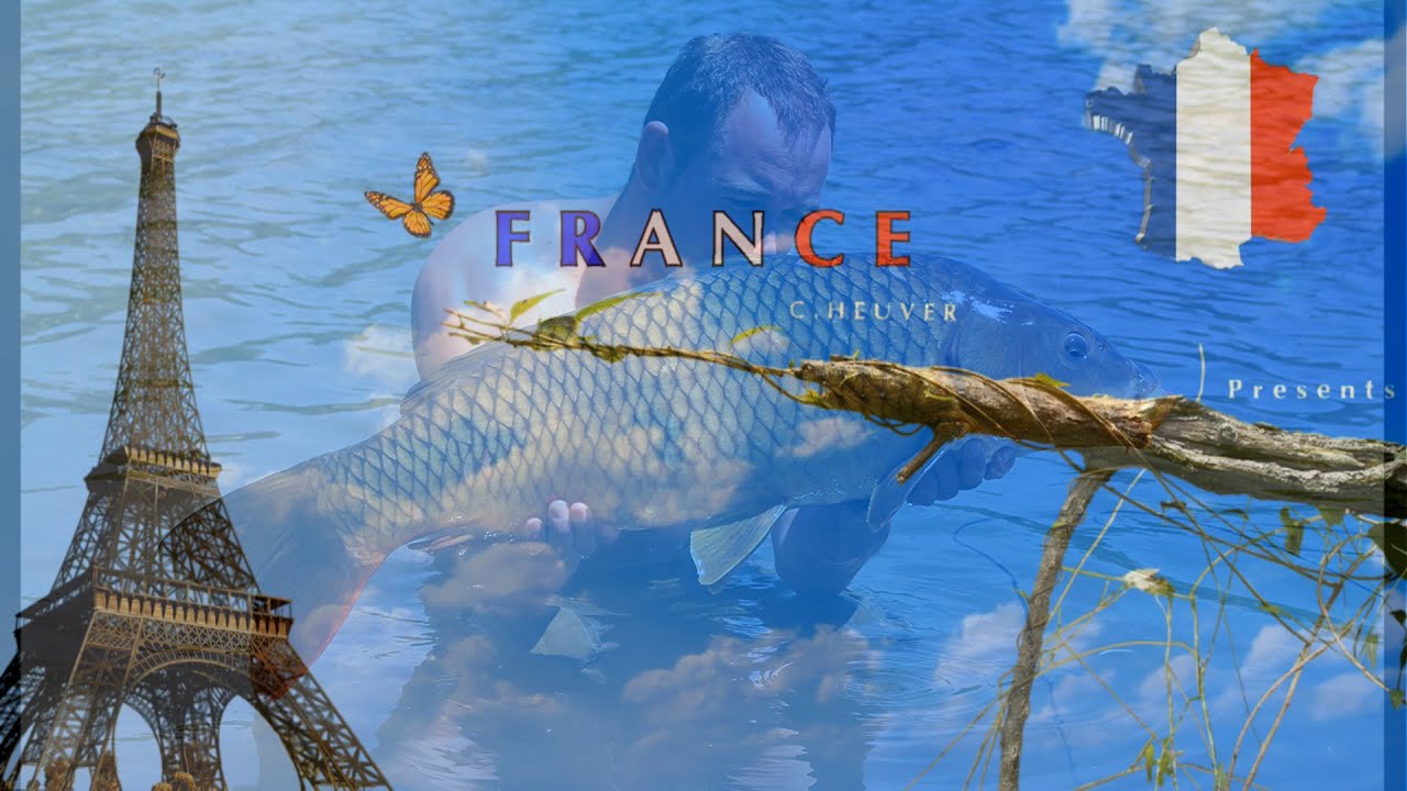 Vive La France-karpervissen frankrijk