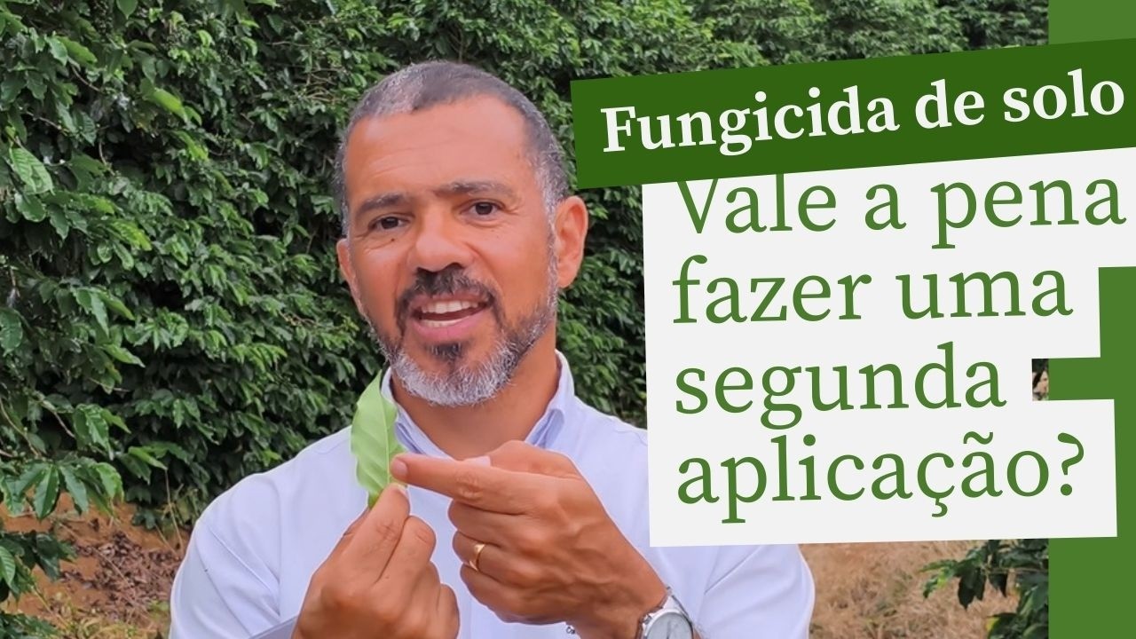 Vale a pena fazer a SEGUNDA aplicação de fungicida de solo no café?