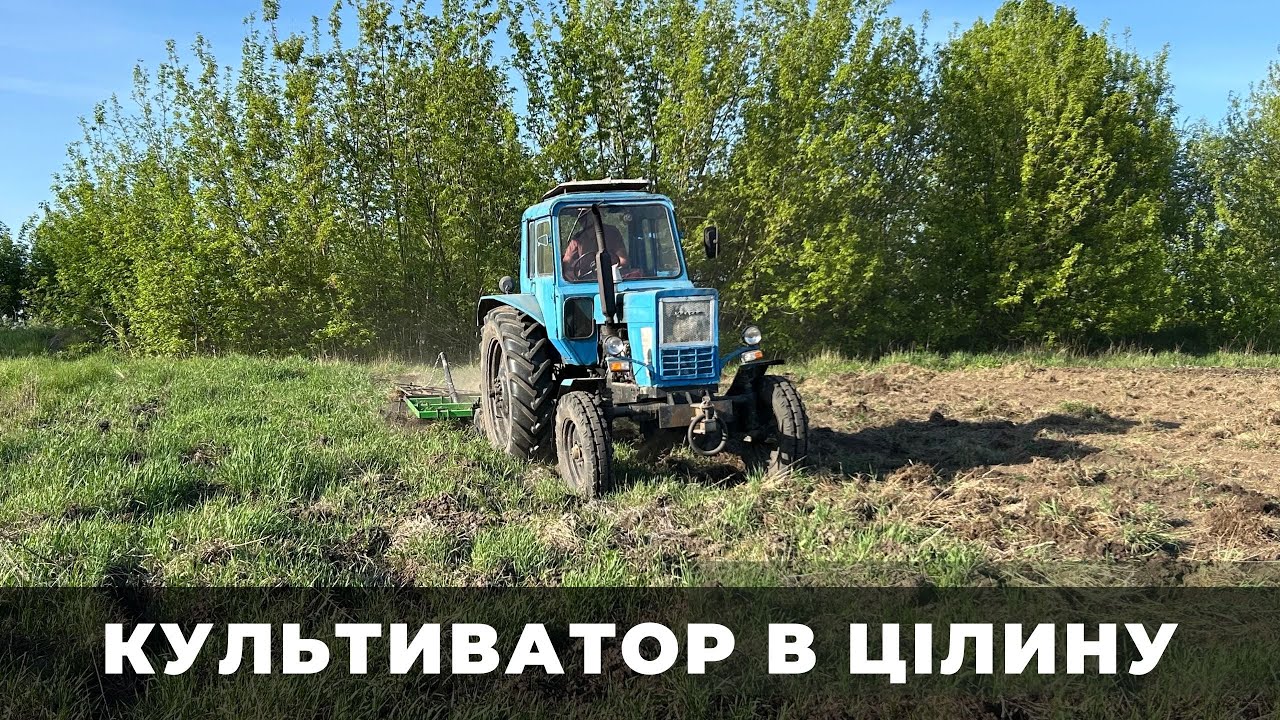 МТЗ грузне, КУЛЬТИВАТОР лізе ПО РАМУ. Розробялємо цілину після зими.