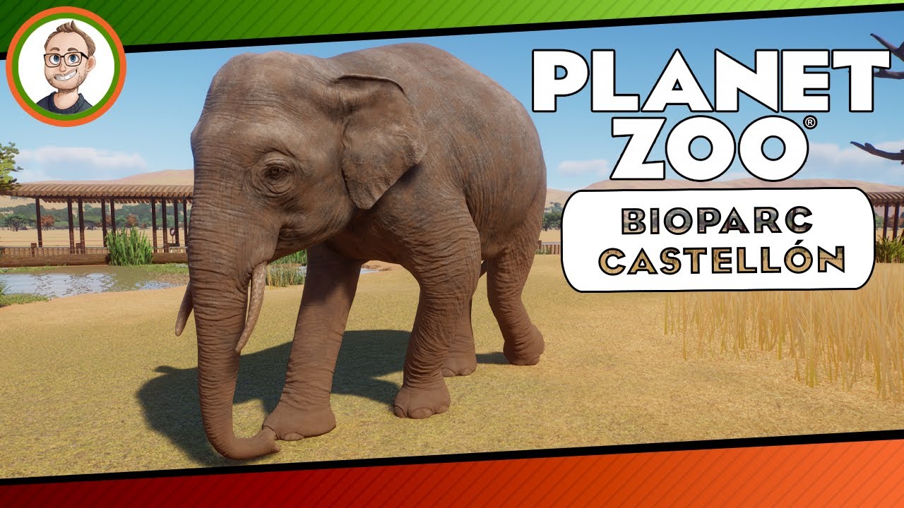 Borneo-Zwergelefanten «» Bioparc Castellón #19 - Planet Zoo Franchise Mode 🦇🇪🇸 Deutsch | German
